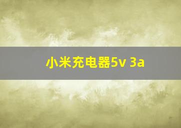 小米充电器5v 3a